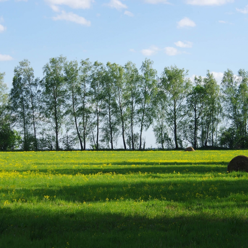 Дорога на Моревские карьеры. Фото нашего Странника Андрея Блохина