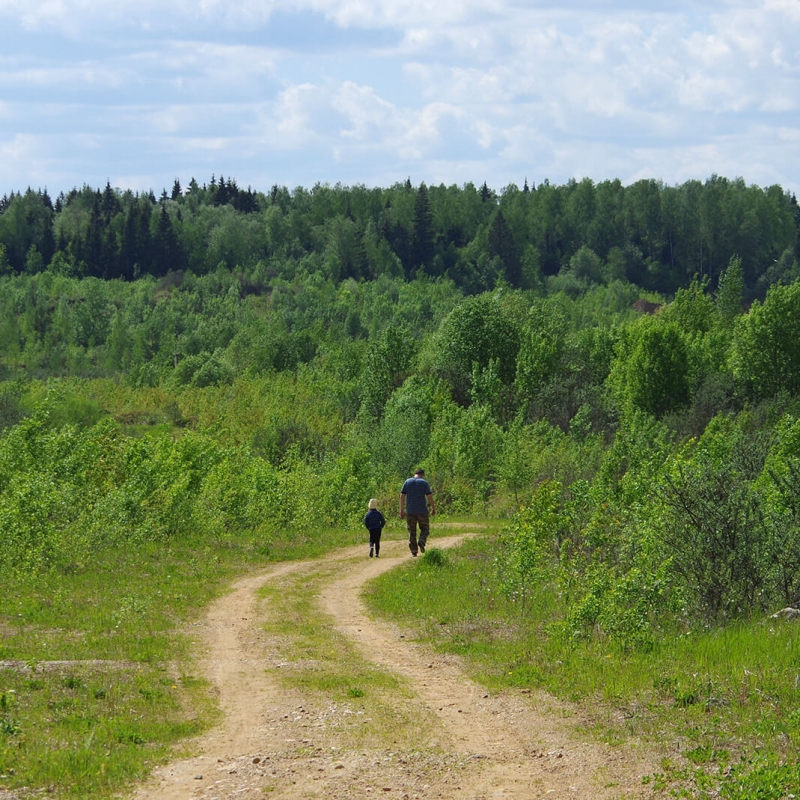 Дорога на Моревские карьеры. Фото нашего Странника Андрея Блохина