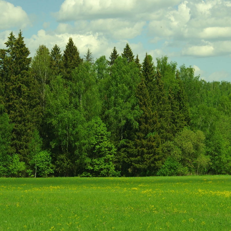 Дорога на Моревские карьеры. Фото нашего Странника Андрея Блохина