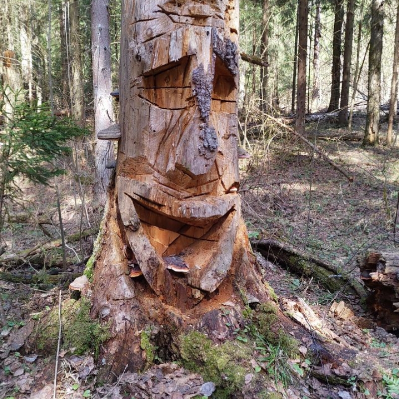 Фото нашего гида Александра Чудновского