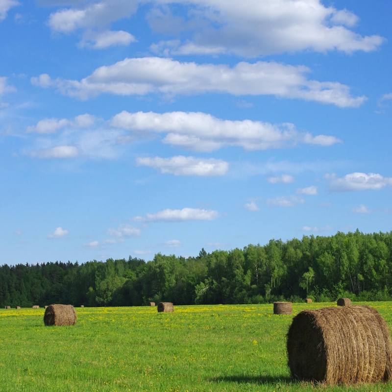 Дорога на Моревские карьеры. Фото нашего Странника Андрея Блохина