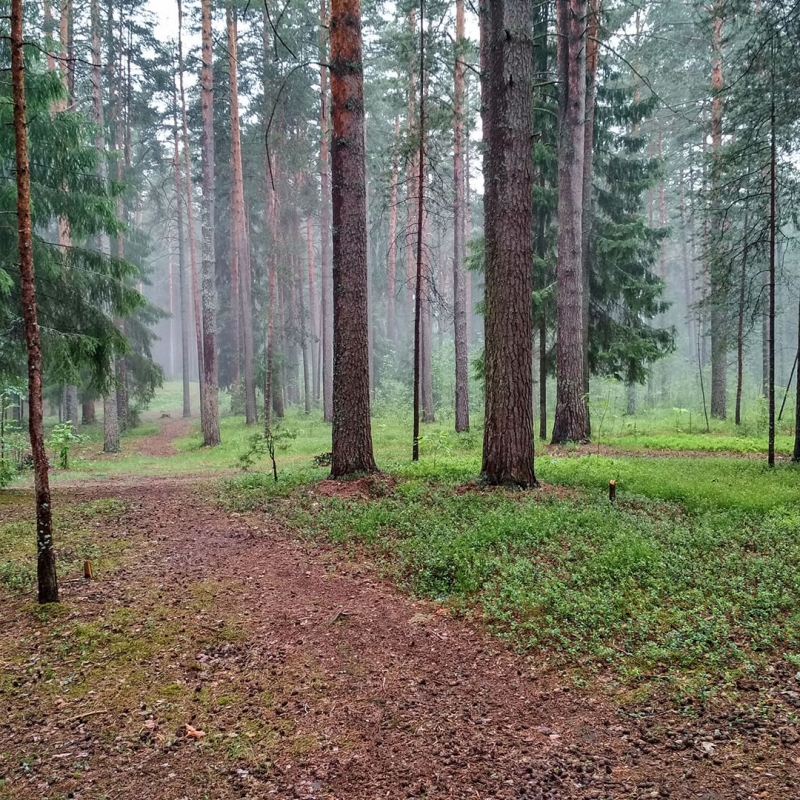 Фото: Evgeny Khrustov, unsplash.com