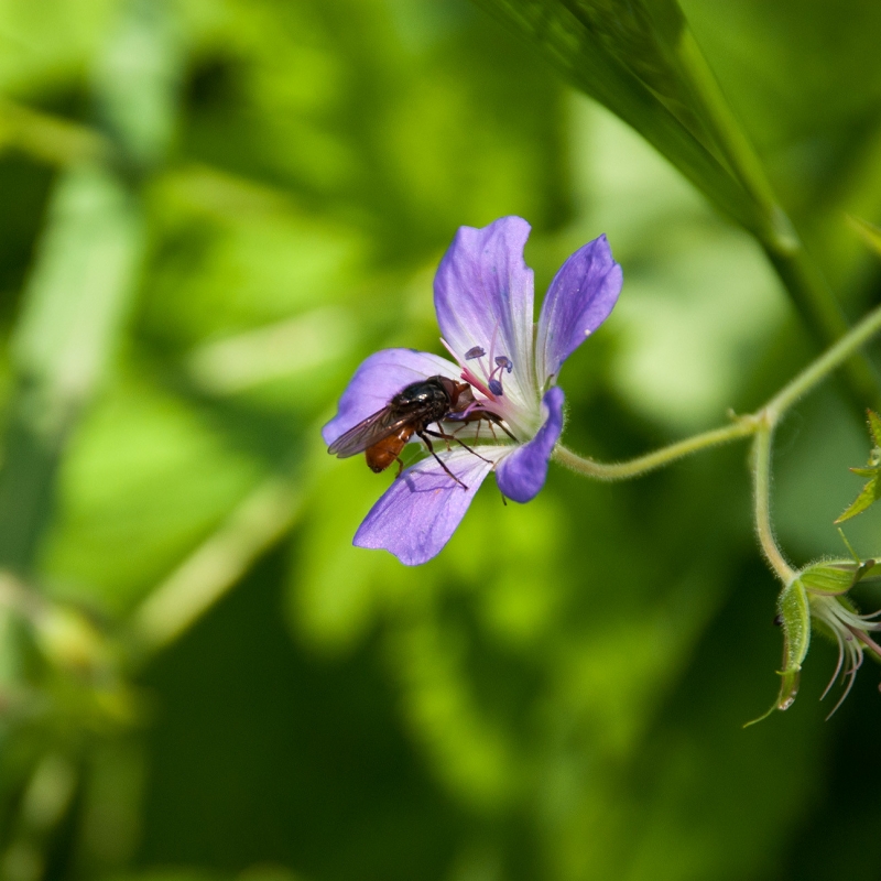 Фото: akk_rus, visualhunt.com