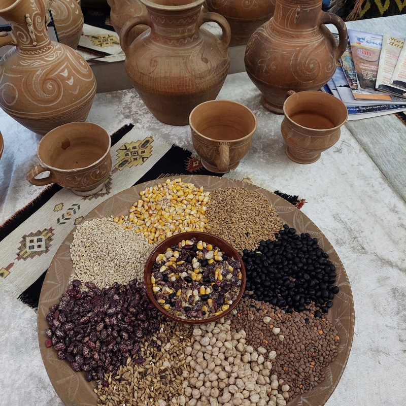 Фото нашей Странницы Екатерины Борисовой