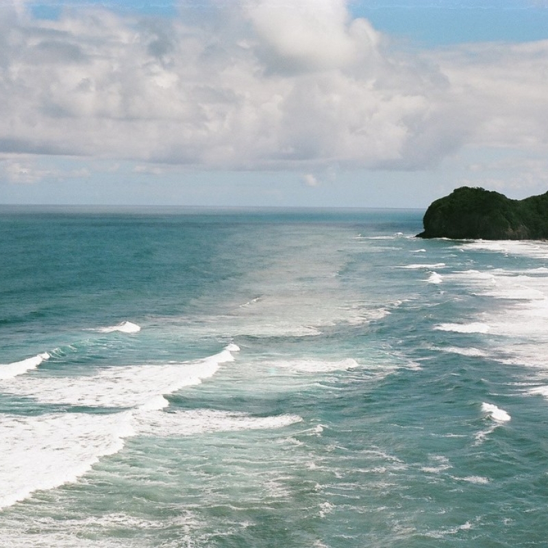 Побережье Тихого океана. Окленд.