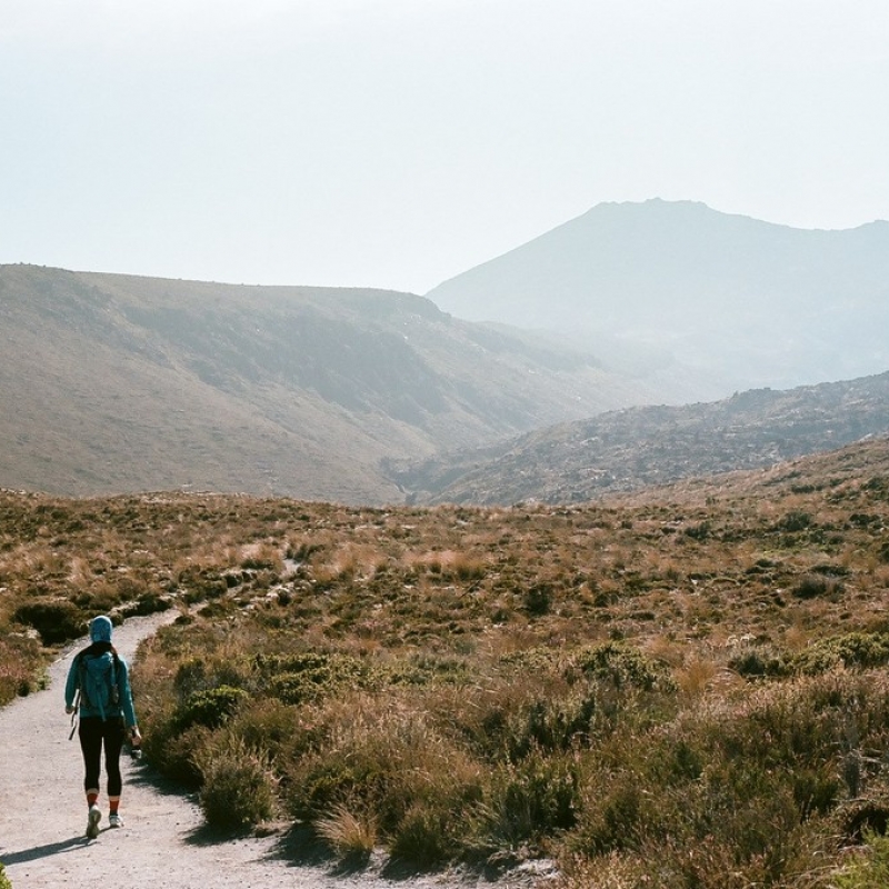 Начало Тонгариро-трека.