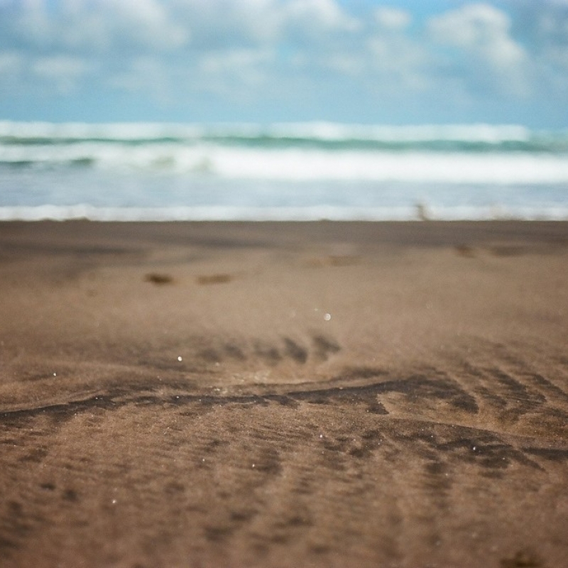 Вулканический песок.