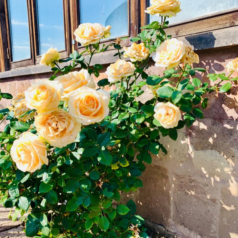 Фото наших Странников