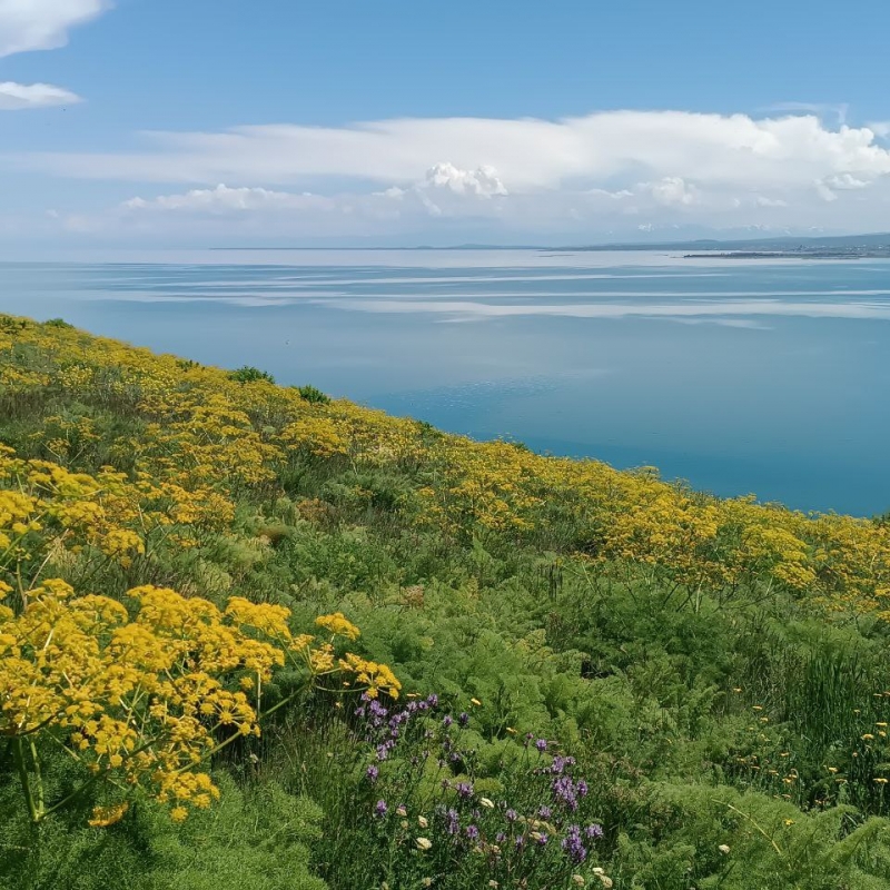 Фото нашего гида Ирины Пряничниковой