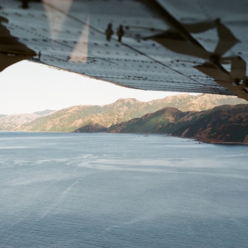 Под крылом самолета. Летим за китами.