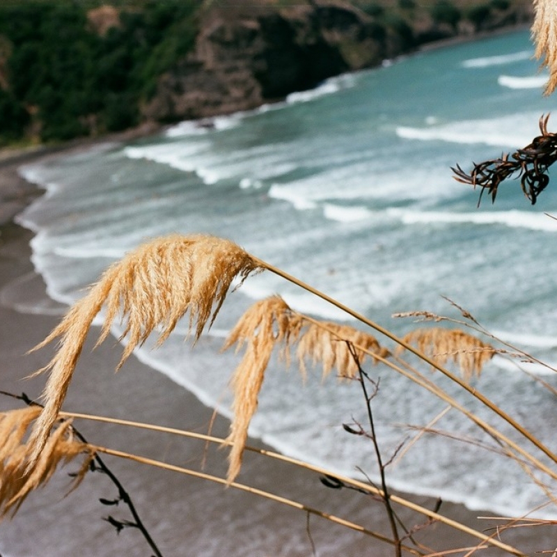 Побережье Тихого океана.