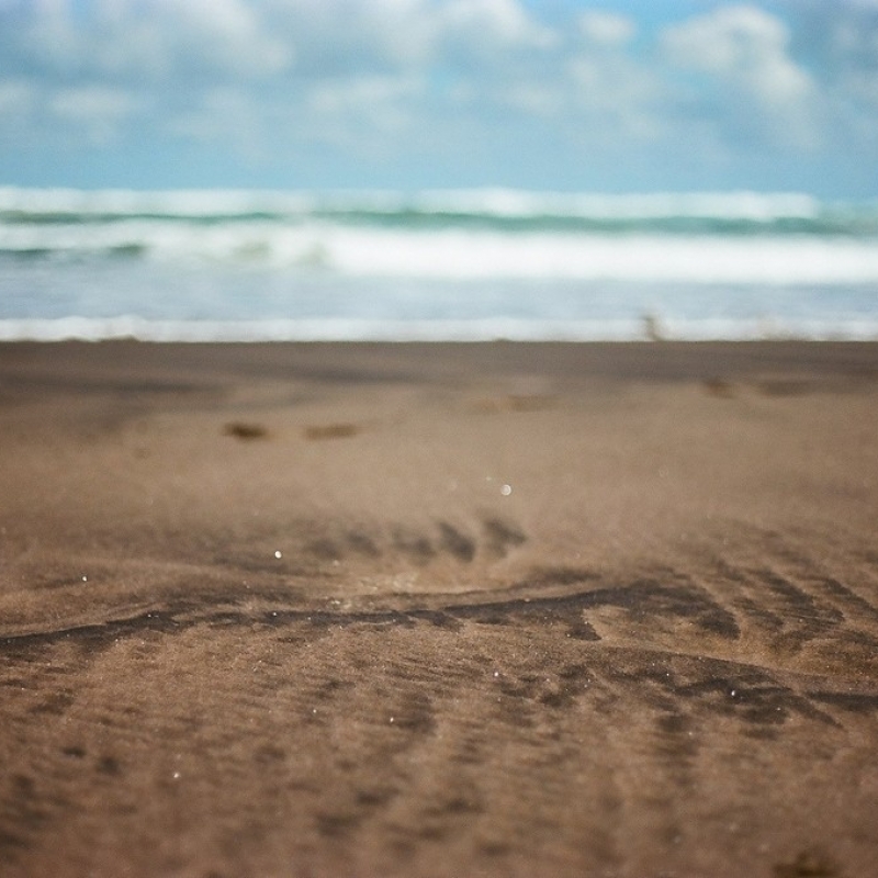 Вулканический песок.