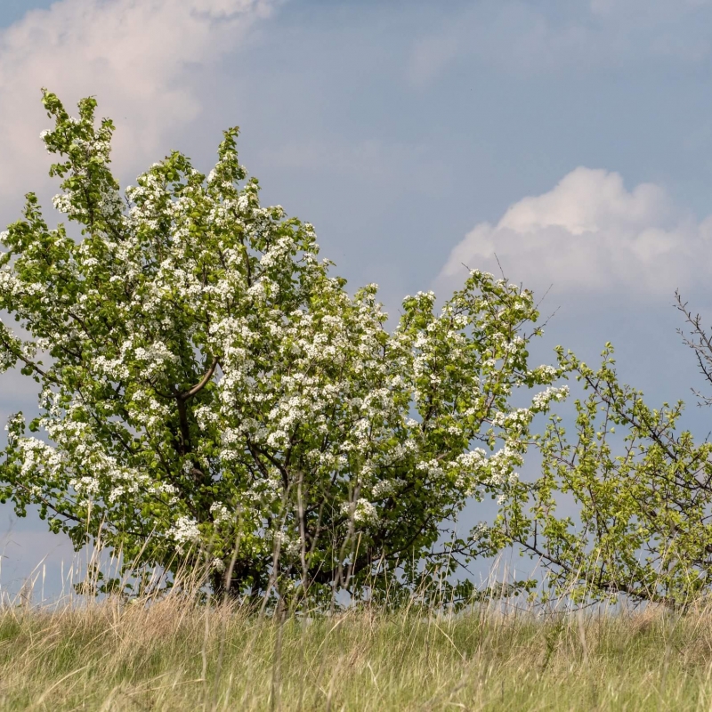 Фото нашего гида Михаила Верёвченко