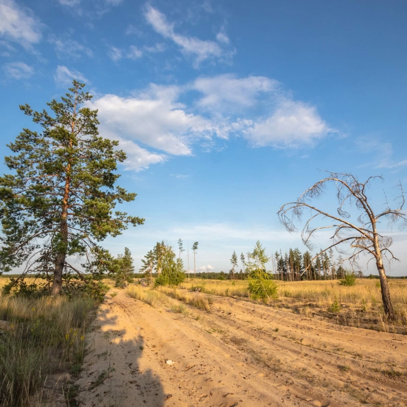 Фото нашего гида Михаила Верёвченко
