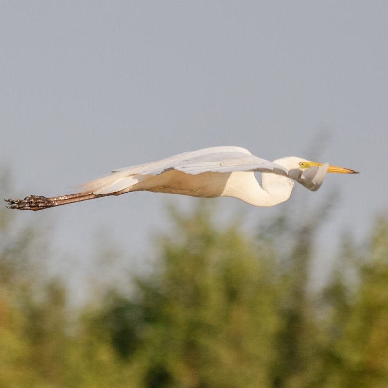 Фото нашего гида Михаила Верёвченко
