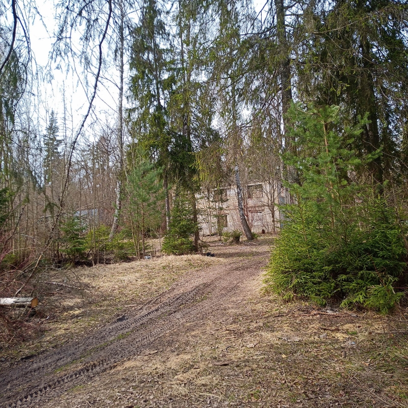 Фото Александра Чудновского