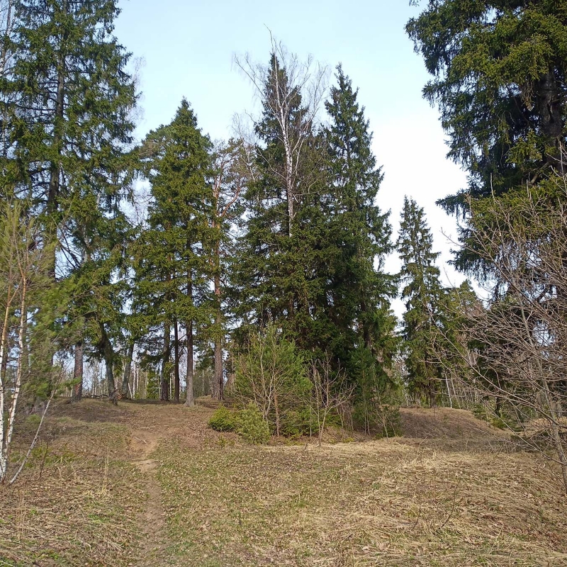 Фото Александра Чудновского