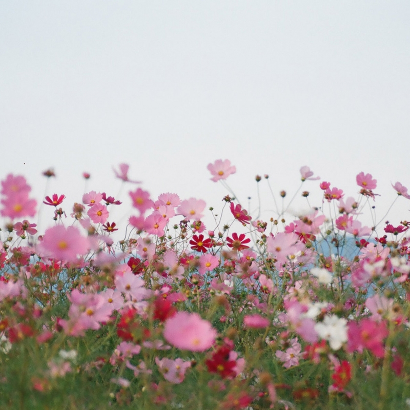 Фото: MIO ITO, unsplash.com