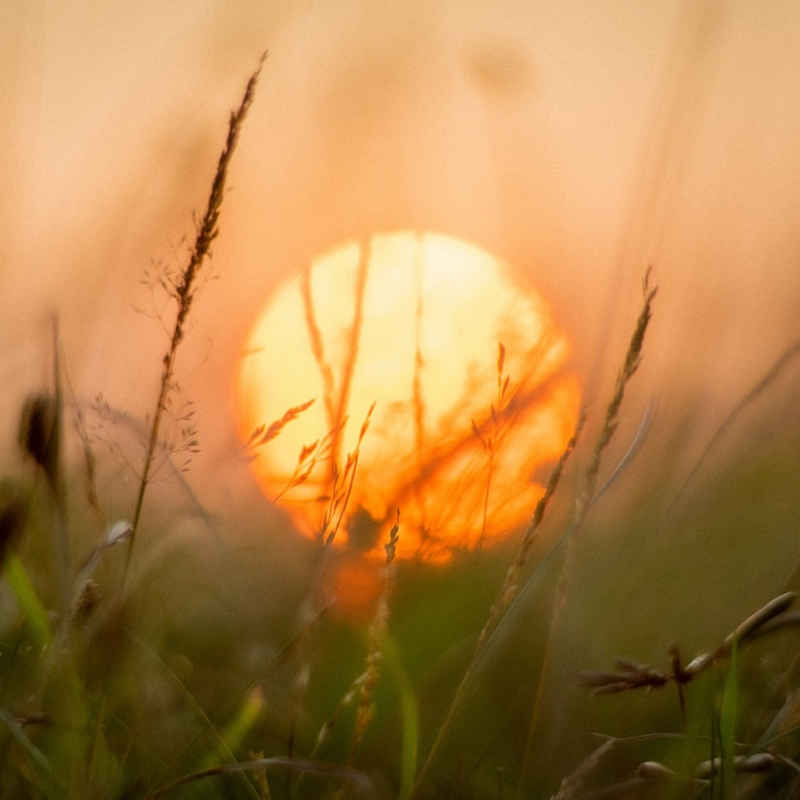 Фото: Ainsley Myles, unsplash.com