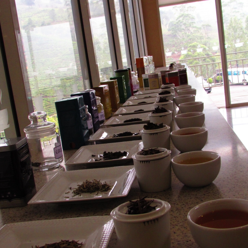 Фото нашего гида Лики Майстровой