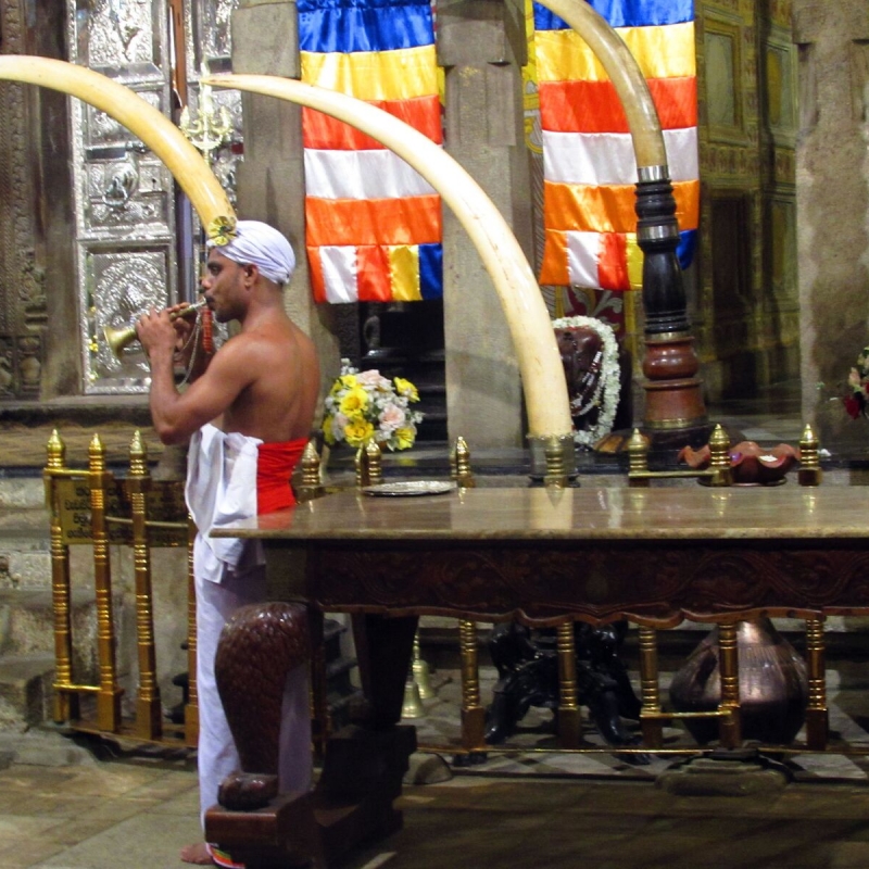 Фото нашего гида Лики Майстровой