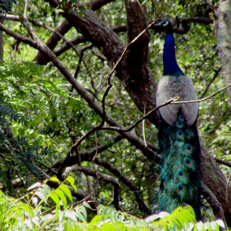 Фото нашего гида Лики Майстровой
