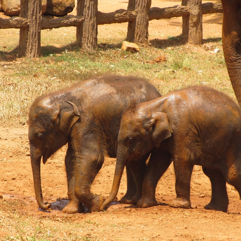 Фото нашего гида Лики Майстровой