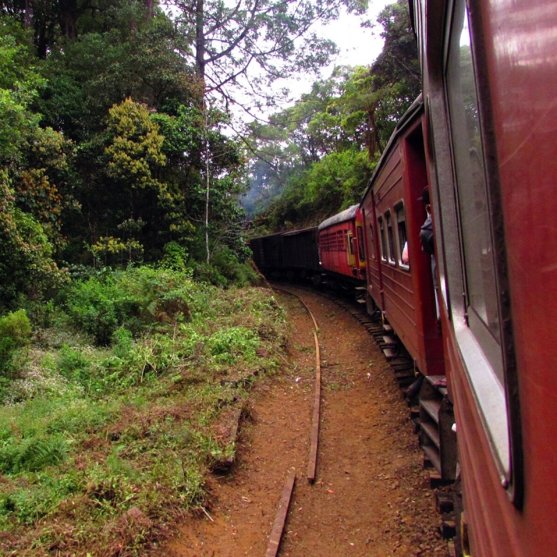 Фото нашего гида Лики Майстровой