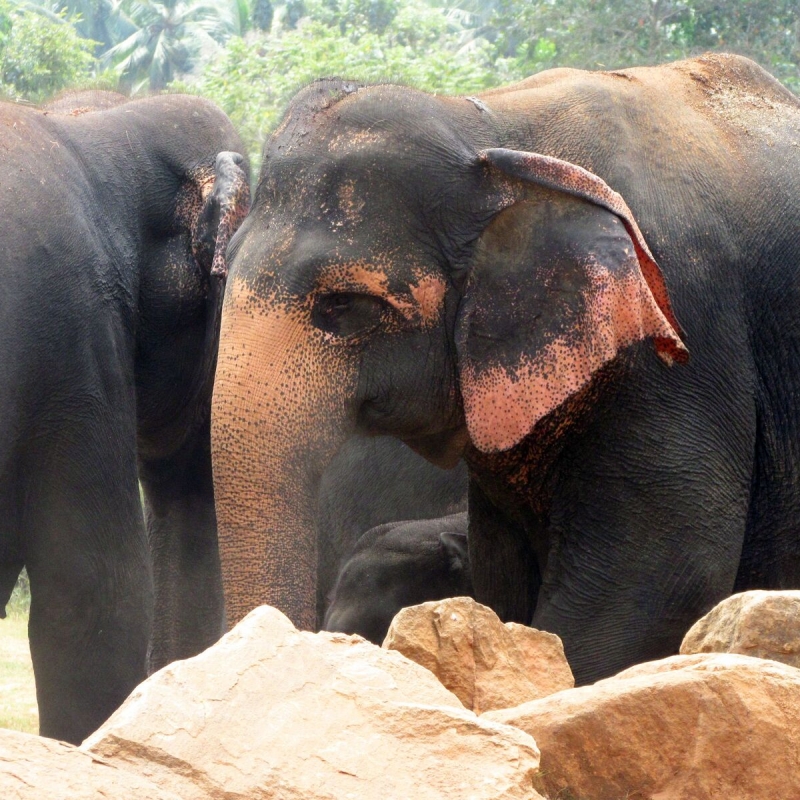 Фото нашего гида Лики Майстровой