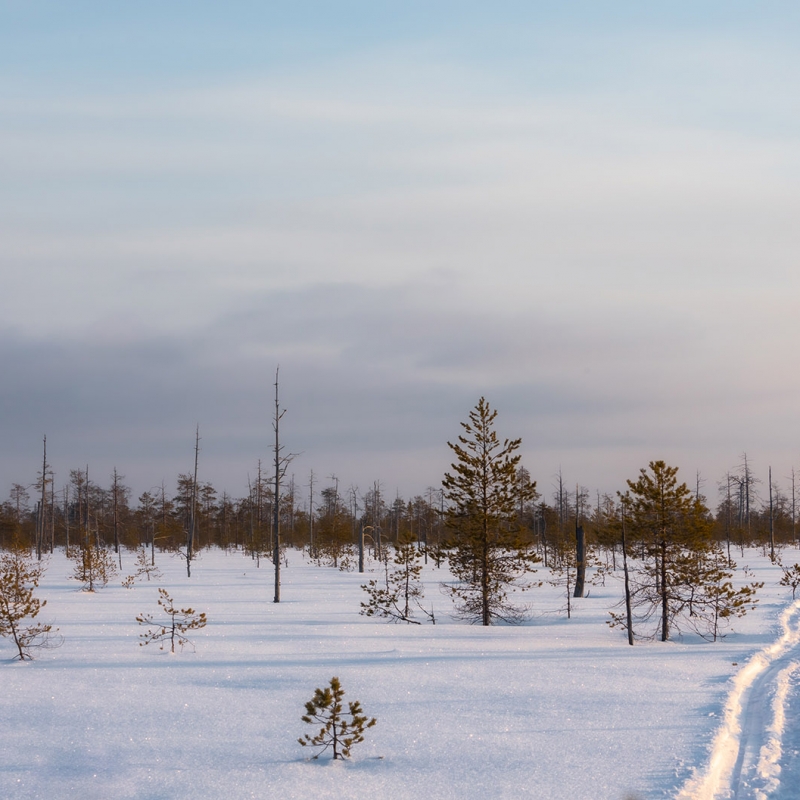 Фото нашего гида Михаила Верёвченко