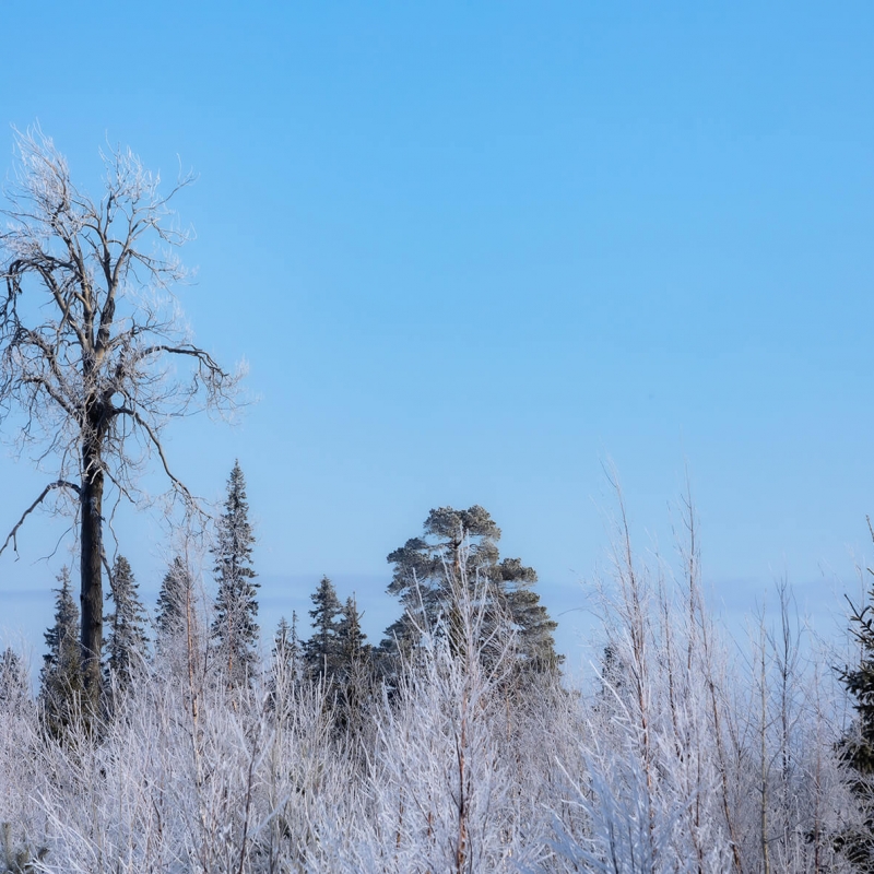 Фото нашего гида Михаила Верёвченко