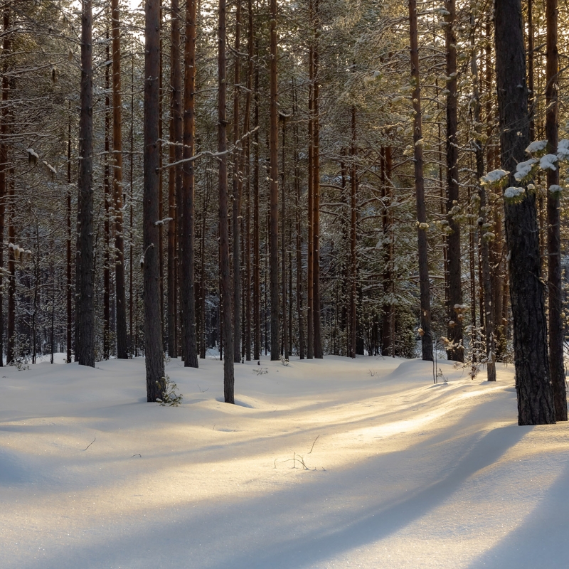 Фото нашего гида Михаила Верёвченко