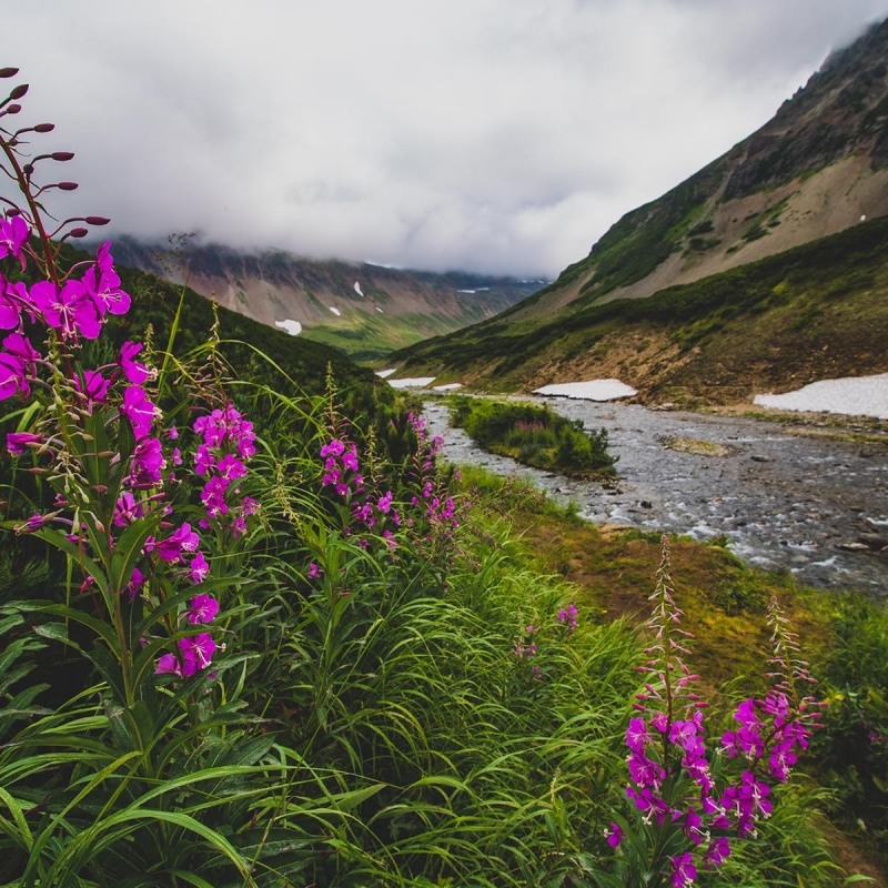 Фото нашей Странницы Вероники Беркутовой