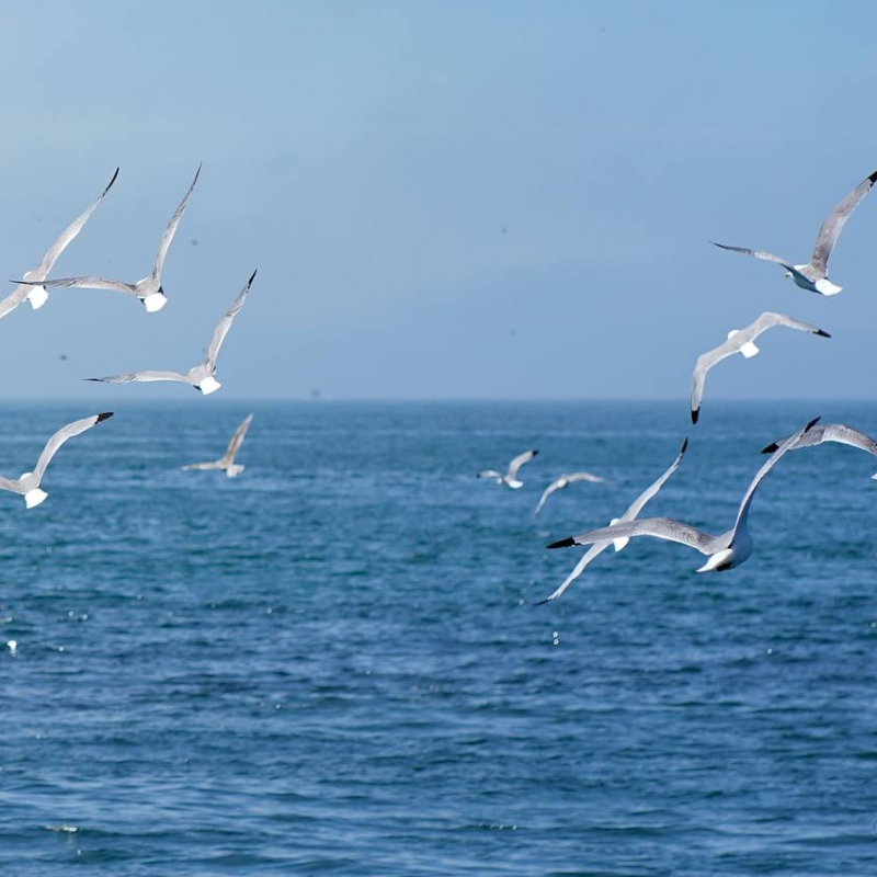 Фото наших Странников