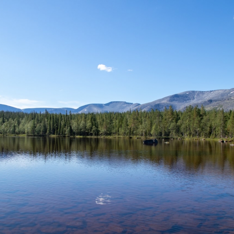 Фото: Дмитрий Ксенофонтов