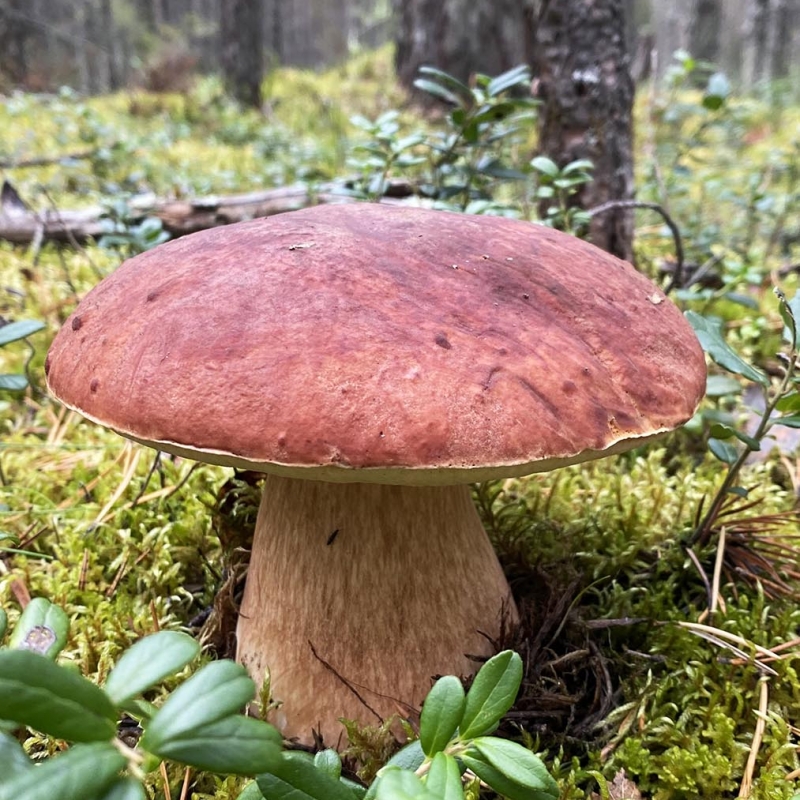 Фото: Мария