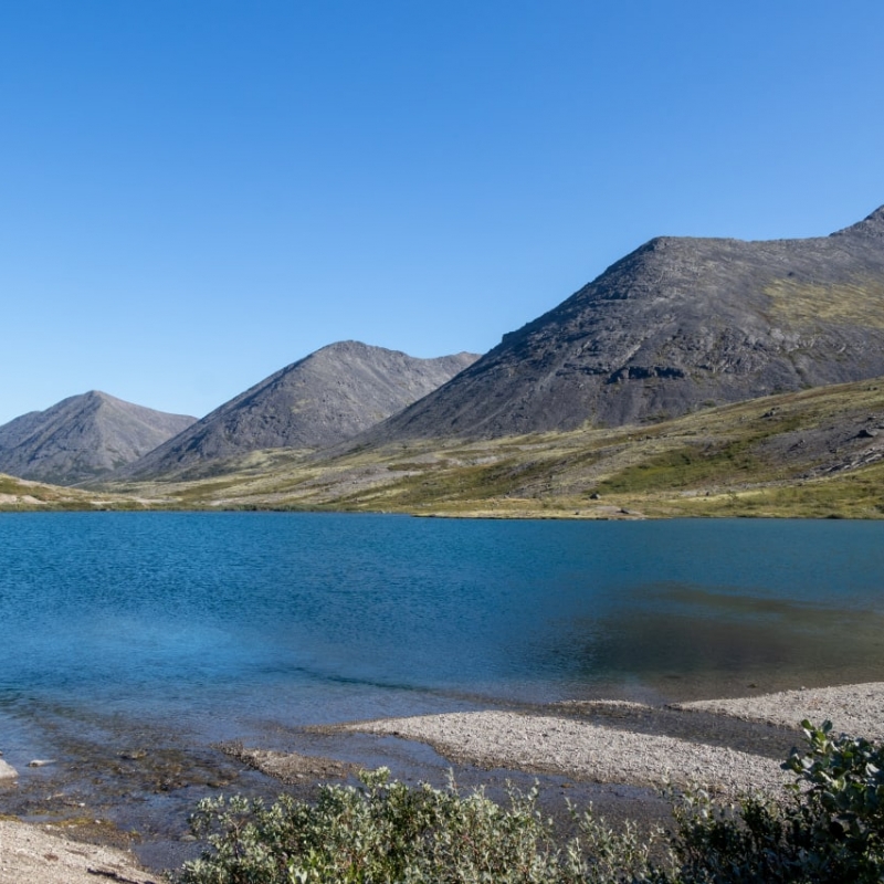 Фото: Дмитрий Ксенофонтов