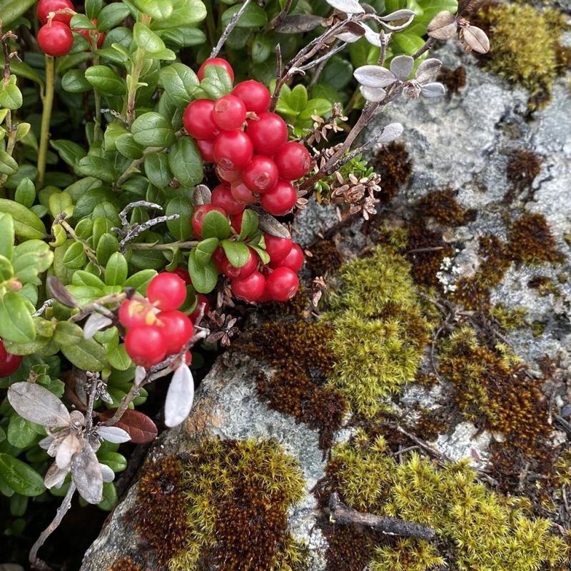 Фото: Мария