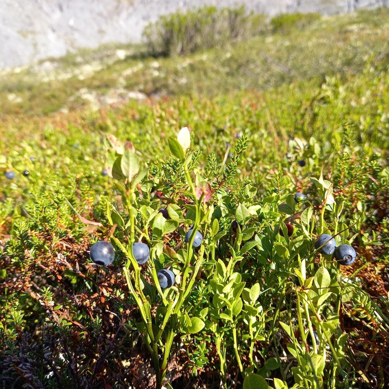 Фото наших Странников