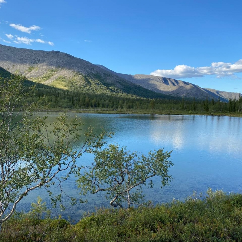 Фото: Наталья Хрулёва