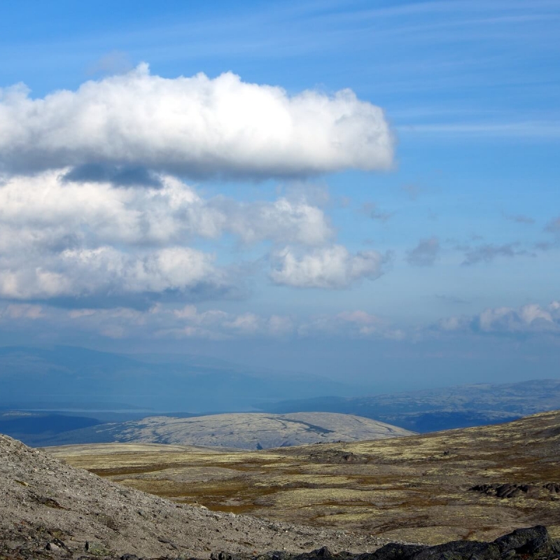 Фото: Антон Певцов