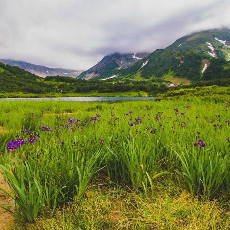Фото нашей Странницы Вероники Беркутовой