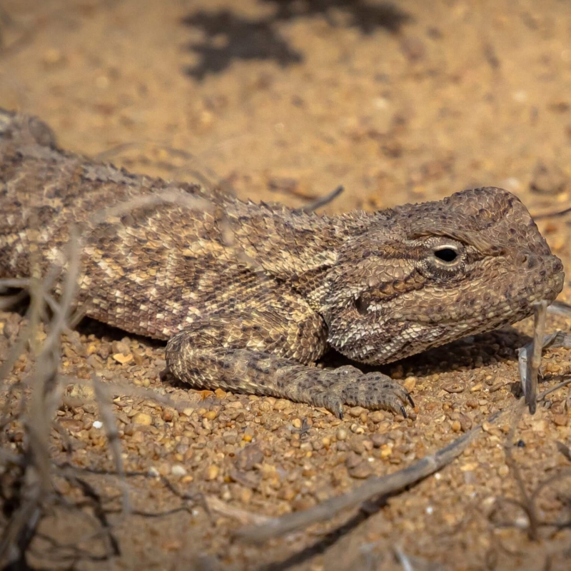 Фото нашего гида Михаила Верёвченко