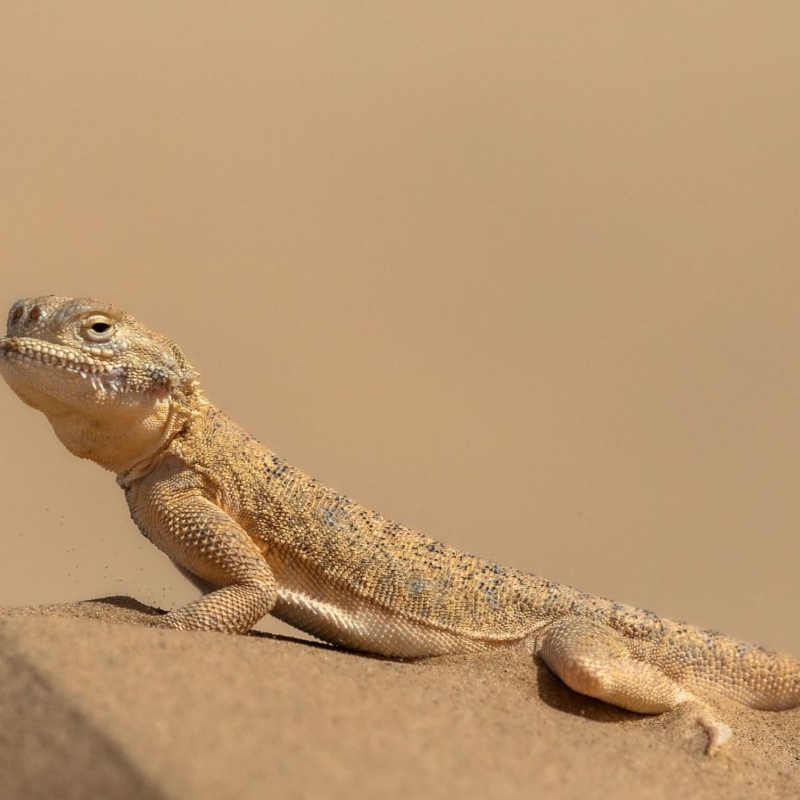 Фото нашего гида Михаила Верёвченко
