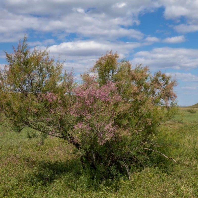 Фото нашего гида Михаила Верёвченко
