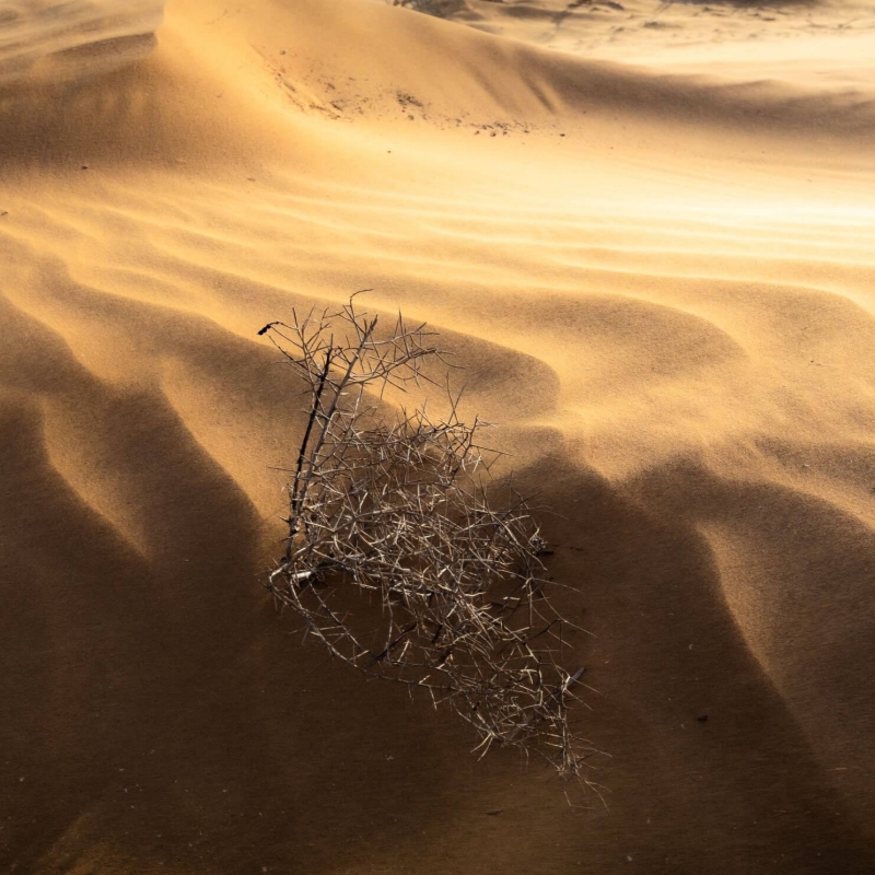 Фото нашего гида Михаила Верёвченко