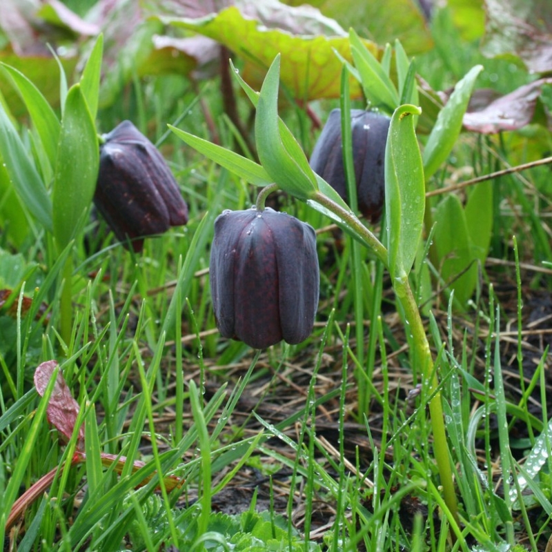 Фото из нашего путешествия