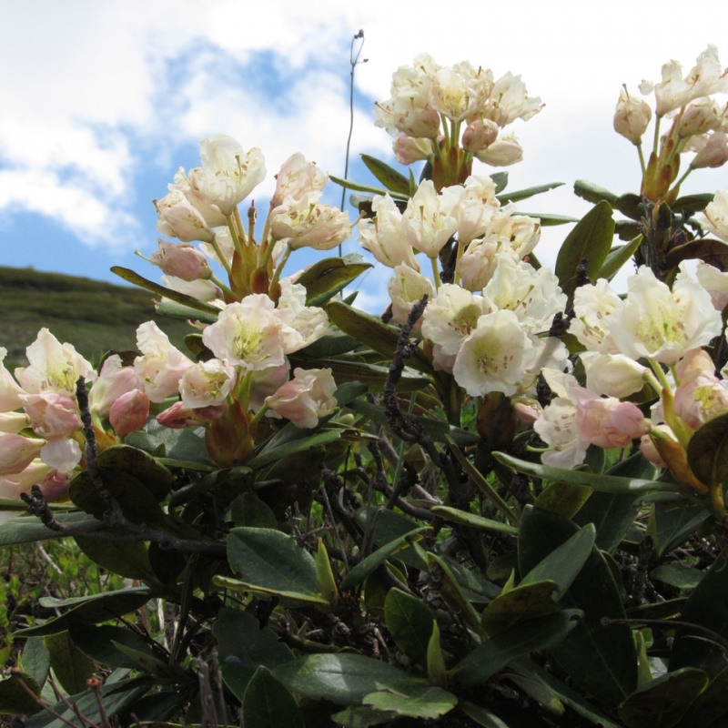 Фото нашего гида Ирины Пряничниковой.