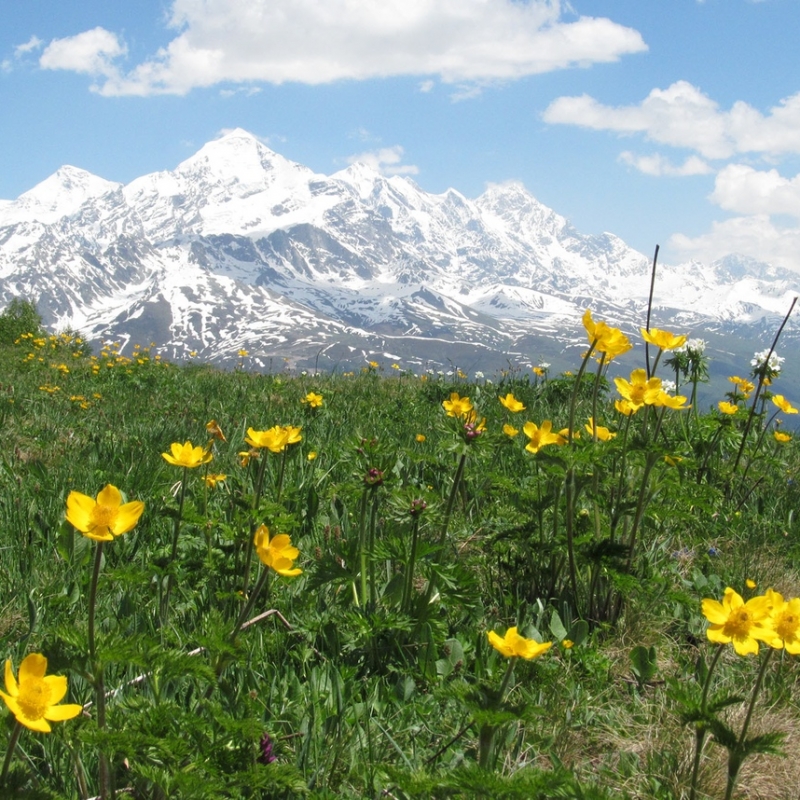 Фото нашего гида Ирины Пряничниковой.