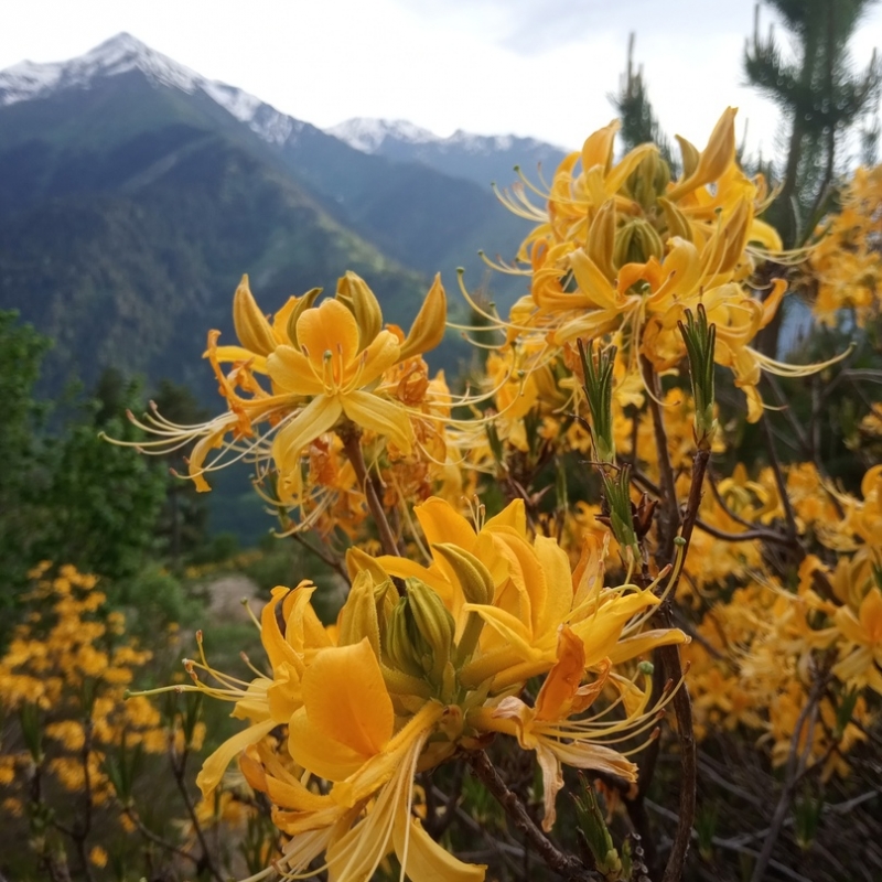 Фото нашего гида Ирины Пряничниковой.